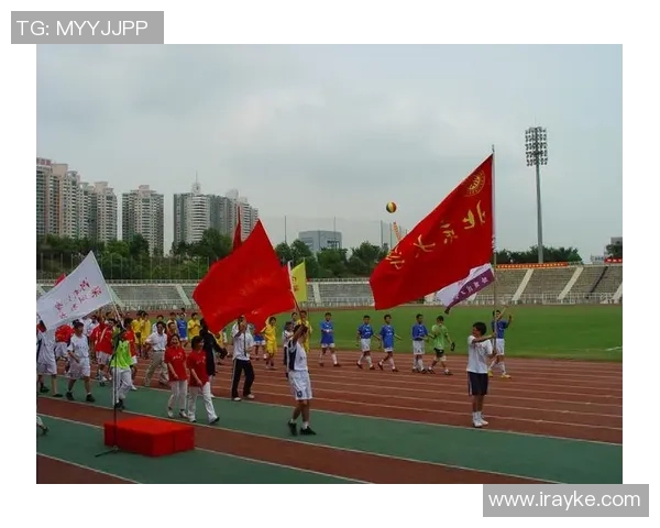 深圳极限运动队状态分析与表现评估的全面研究与探讨