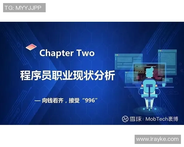 数据分析揭示WE团队成员个人能力表现的深度洞察与发展建议